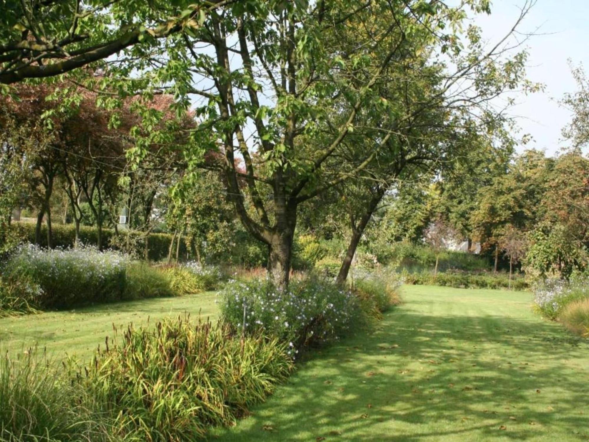 Holiday Home Large Play Sun Meadow Ravenstein Exterior foto
